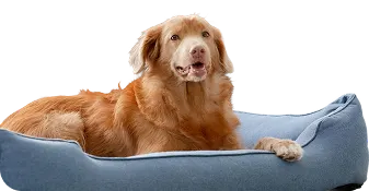 Pro mazlíčky