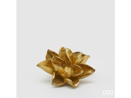 Květ magnolie -zlatý - malý