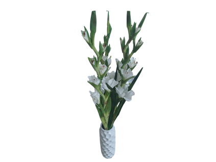 Umělá květina Gladiola / Mečík 96 cm, bílá