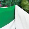 Kempingová skládací židle s držákem nápojů bílo-zelená