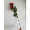 Umělá květina Růže 76 cm, červená