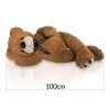 Plyšový medvěd hnědý 100 cm